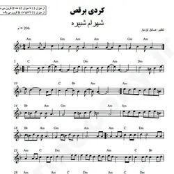 نت شماره WNK4010