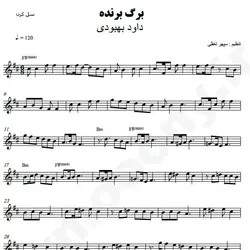 نت شماره WNK3819