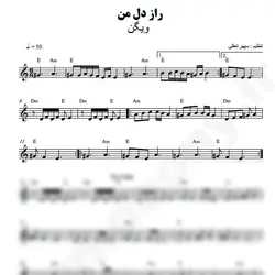 نت شماره WNK4003