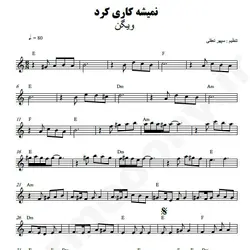 نت شماره WNK4000