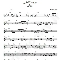 نت شماره WNK3923