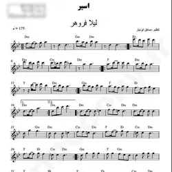 نت شماره WNK3768