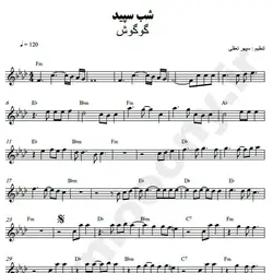 نت شماره WNK3589