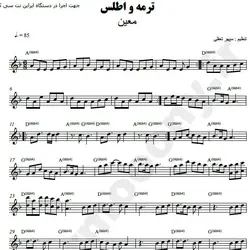 نت شماره WNK3019