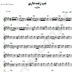 نت شماره WNK3082