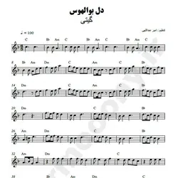 نت شماره WNK2646