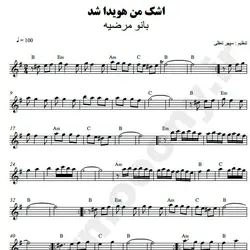 نت شماره WNK2450