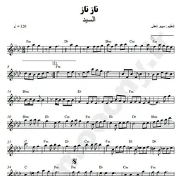 نت شماره WNK2379