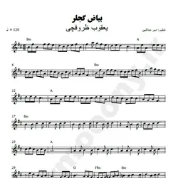 نت شماره WNK2205