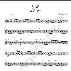 نت شماره WNK1731