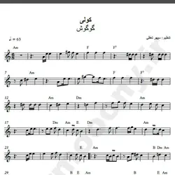 نت شماره WNK1314