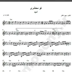 نت شماره WNK1300