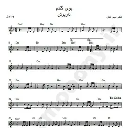 نت شماره WNK1250