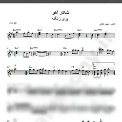 نت شماره WNK1260