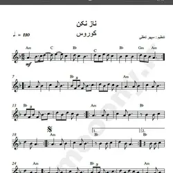 نت شماره WNK1205