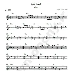 نت شماره WNK1029