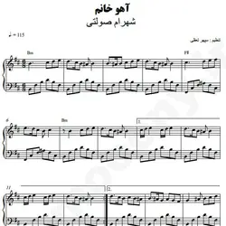 نت شماره WNP5095