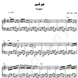 نت شماره WNP5165