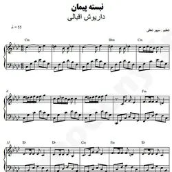 نت شماره WNP5091