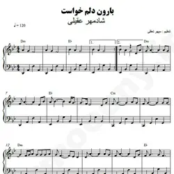 نت شماره WNP4839