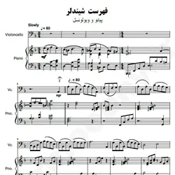 نت شماره WNP4810