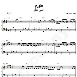 نت شماره WNP4877