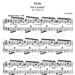 نت شماره WNP4701