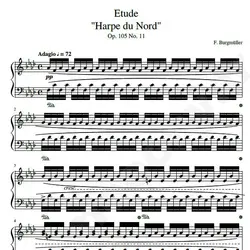 نت شماره WNP4702