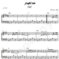 نت شماره WNP4909