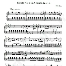 نت شماره WNP4516