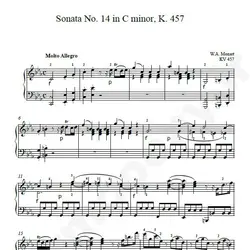 نت شماره WNP4522