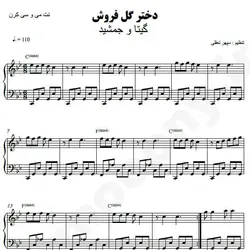 نت شماره WNP4493