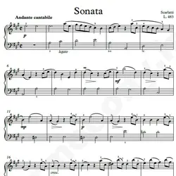 نت شماره WNP4342