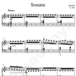 نت شماره WNP4338