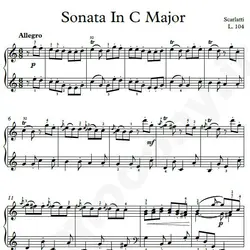 نت شماره WNP4335