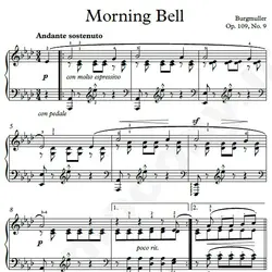 نت شماره WNP4333