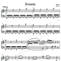 نت شماره WNP4325