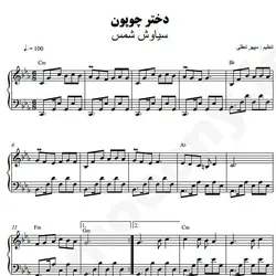 نت شماره WNP4201