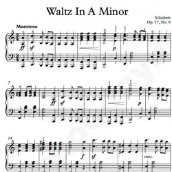 نت شماره WNP4355