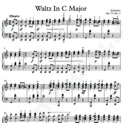 نت شماره WNP4354