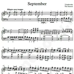 نت شماره WNP4394