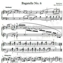 نت شماره WNP4261