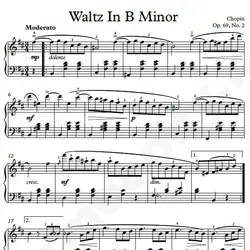 نت شماره WNP4219