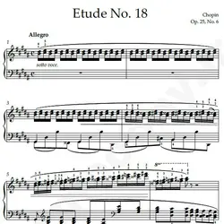 نت شماره WNP4191