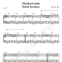 نت شماره WNP4080