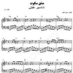 نت شماره WNP3804