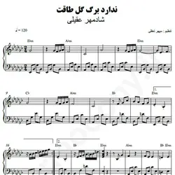 نت شماره WNP3808