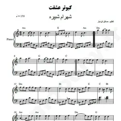 نت شماره WNP4094