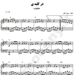 نت شماره WNP3367