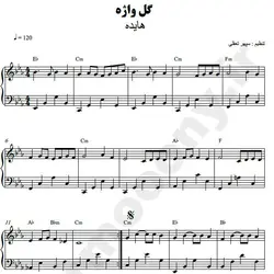 نت شماره WNP3119